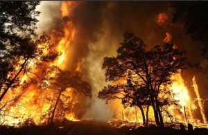 wildfires-California-2017